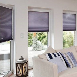 Pleated Blinds